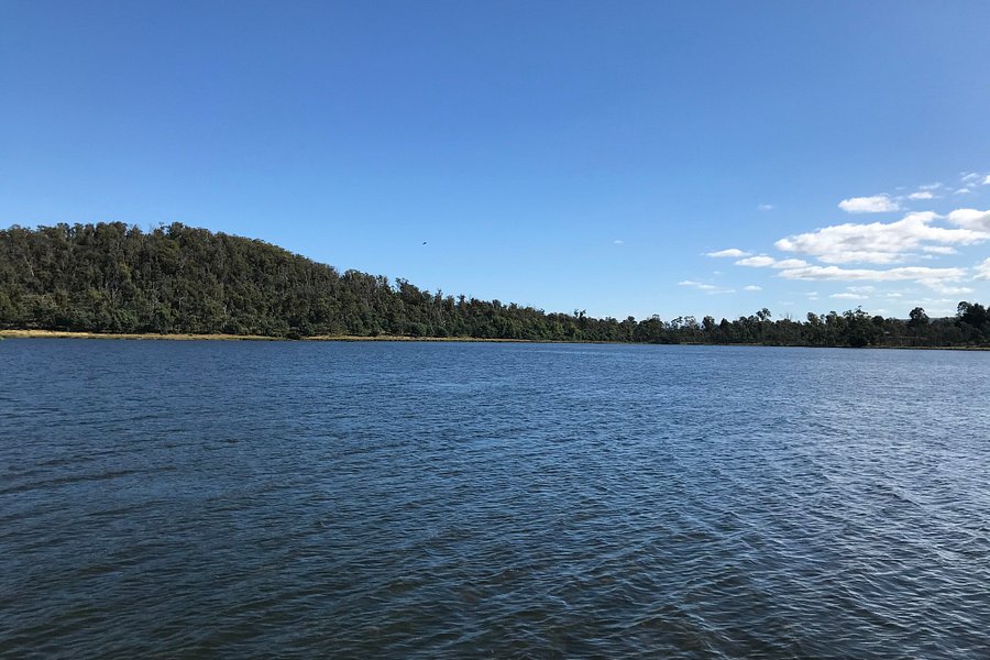 Four Springs Lake image