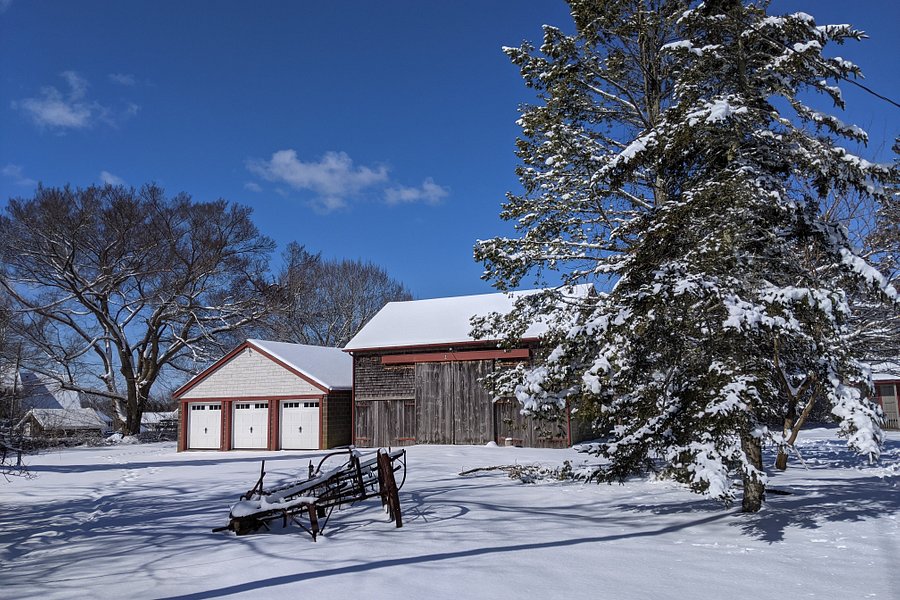 Spruce Acres Farm Trail image