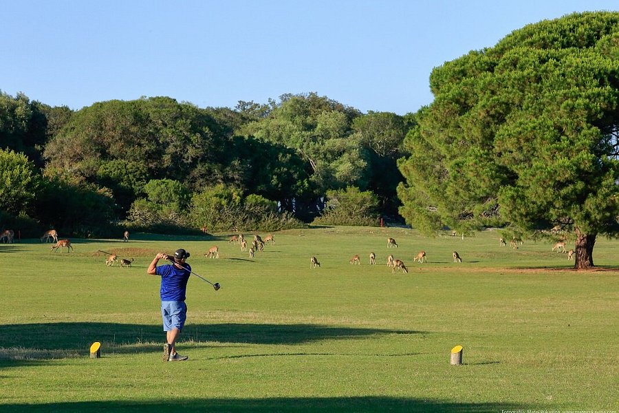 Brijuni Golf Course image