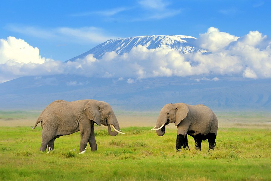 6 Days Kenya Classic Safari image