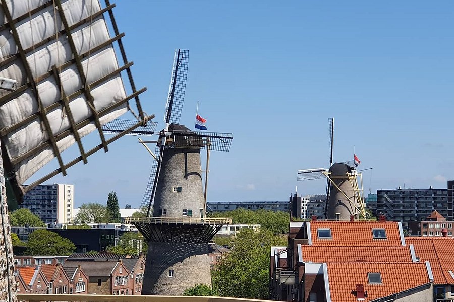 Schiedam Windmills image