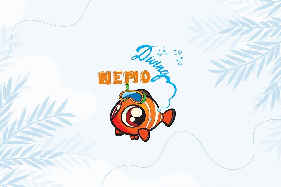 Nemo Diving Center - Fujairah image
