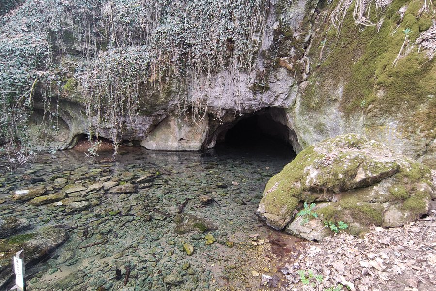 Drienovská Jaskyňa image