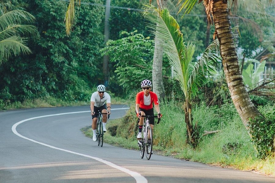 Balitri - Swim / Bike / Run Private Tour and Tailored Training in Bali image