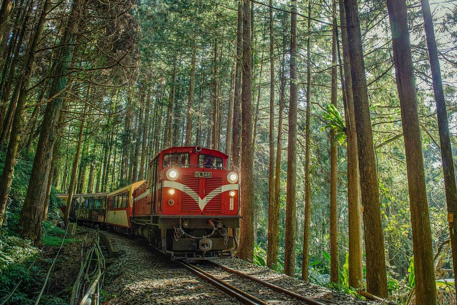 Alishan Forest Railway image