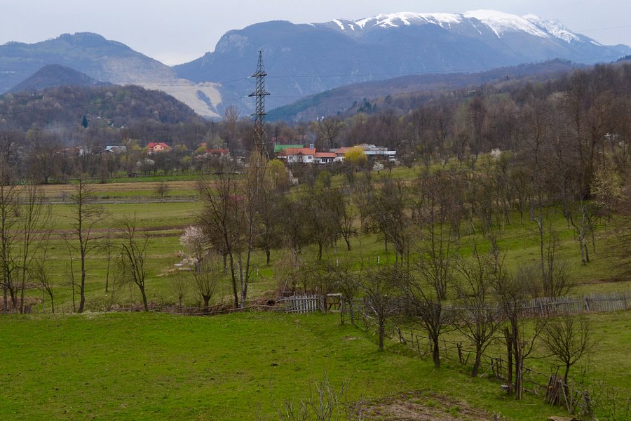 Buila-Vânturarița National Park image