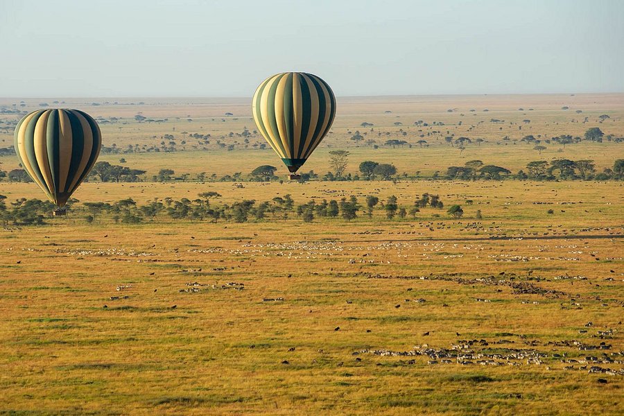 Serengeti Balloon Safaris image