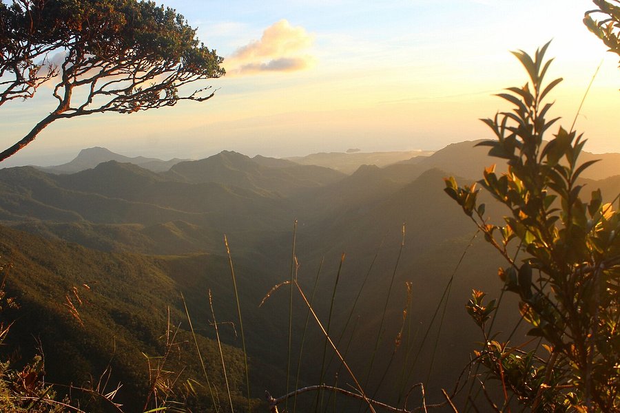 Mount Hamiguitan Range Wildlife Sanctuary image