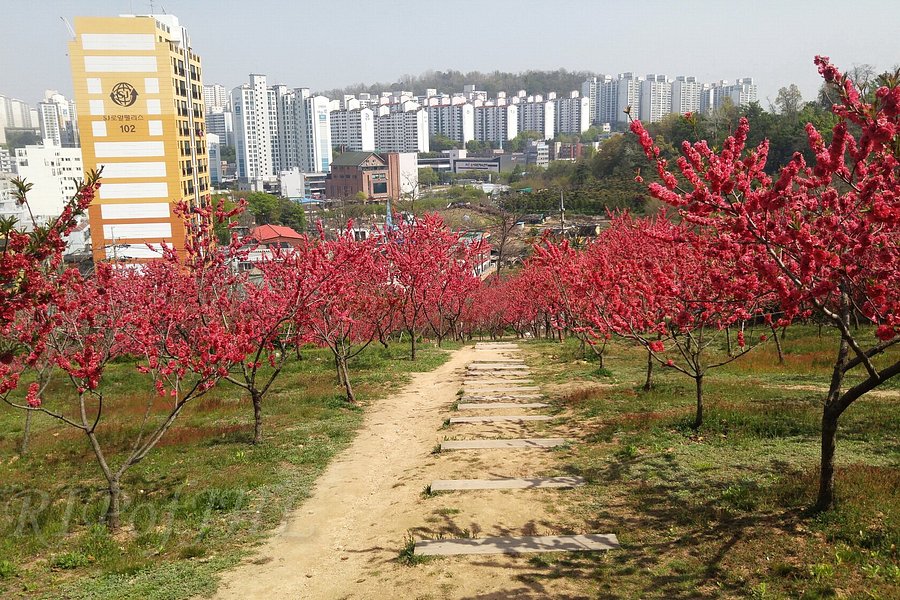 Seongsusan Park image