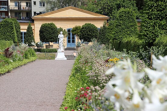 Linnaeus Garden image