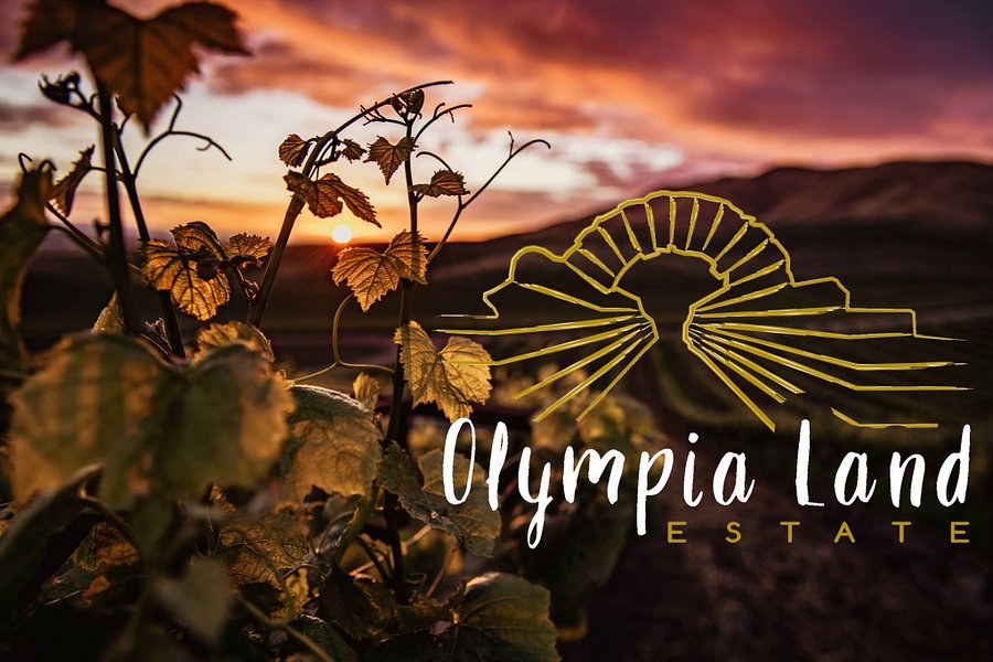 Olympia Land Winery image