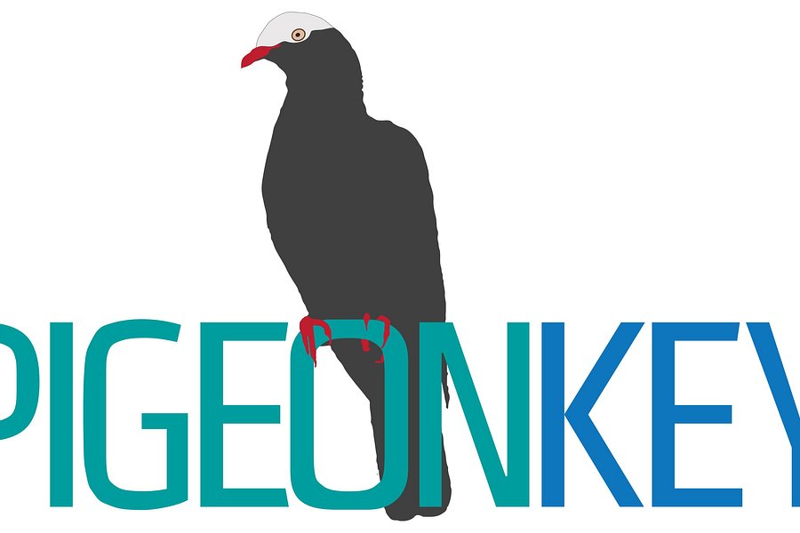 Pigeon Key image