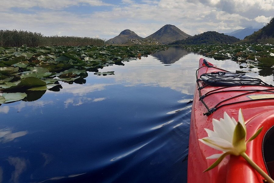 Discover Skadar Lake - Boat tour and kayak image