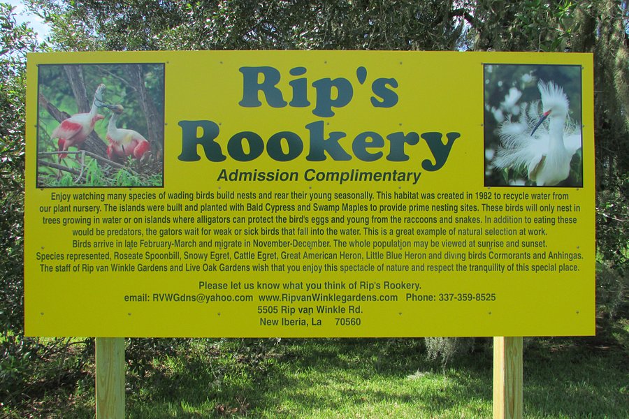 Rip's Rookery image