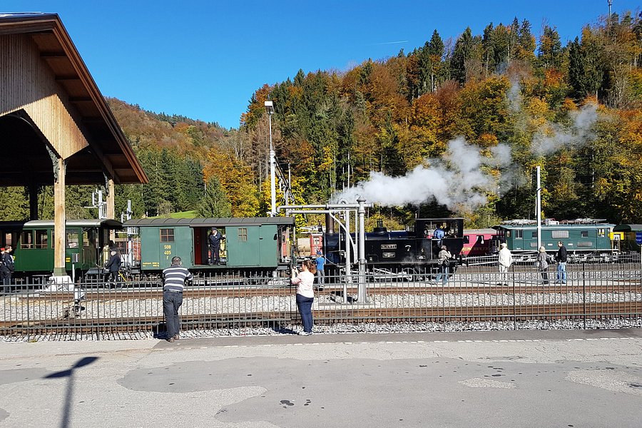 Dampfbahn-Verein Zürcher Oberland DVZO image