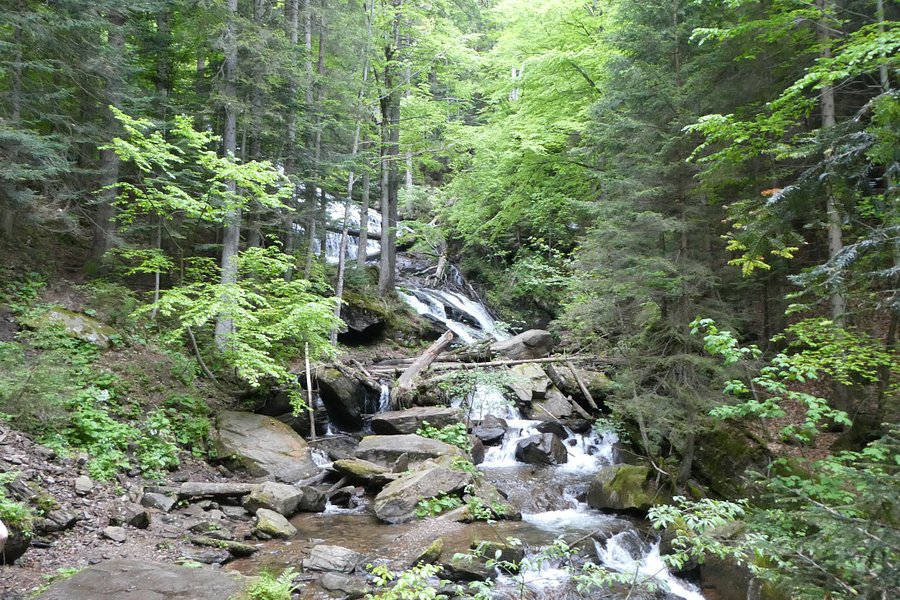 Wasserfall der Weissen Sulm in Wielfresen image
