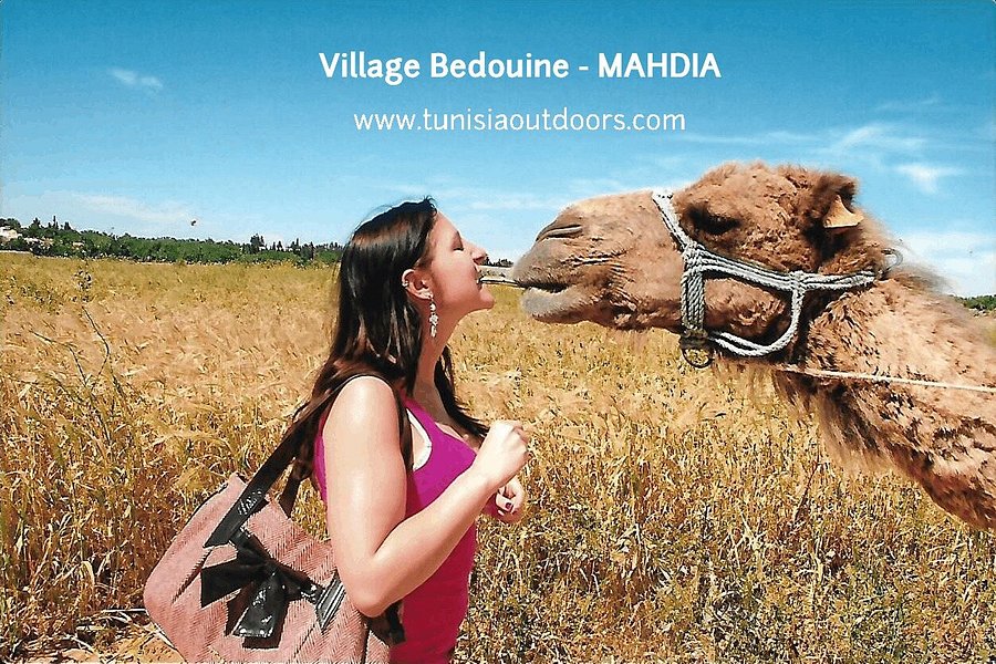 Bedouin Village image