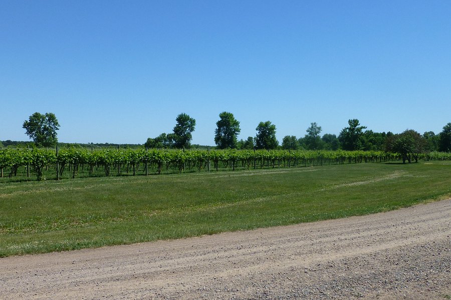Ann River Winery image