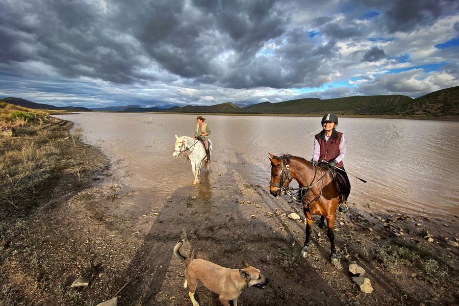 De Rust Horseriding - Klein Karoo Horse Adventures image