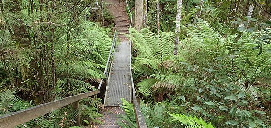Leven Canyon Lookout Track image