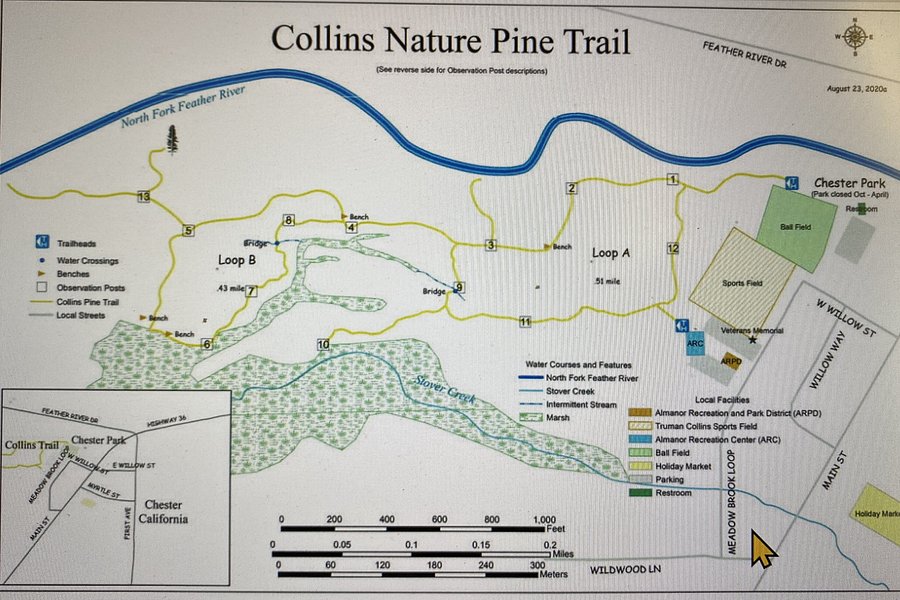 Collins Pine Nature Trail image
