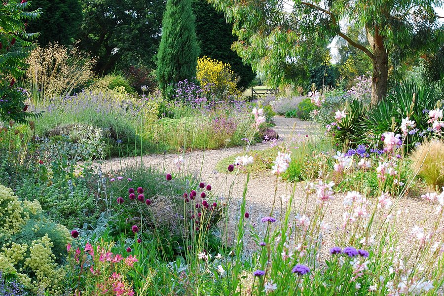 Beth Chatto's Plants & Gardens image