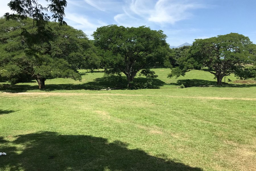 Hacienda La Trinidad image