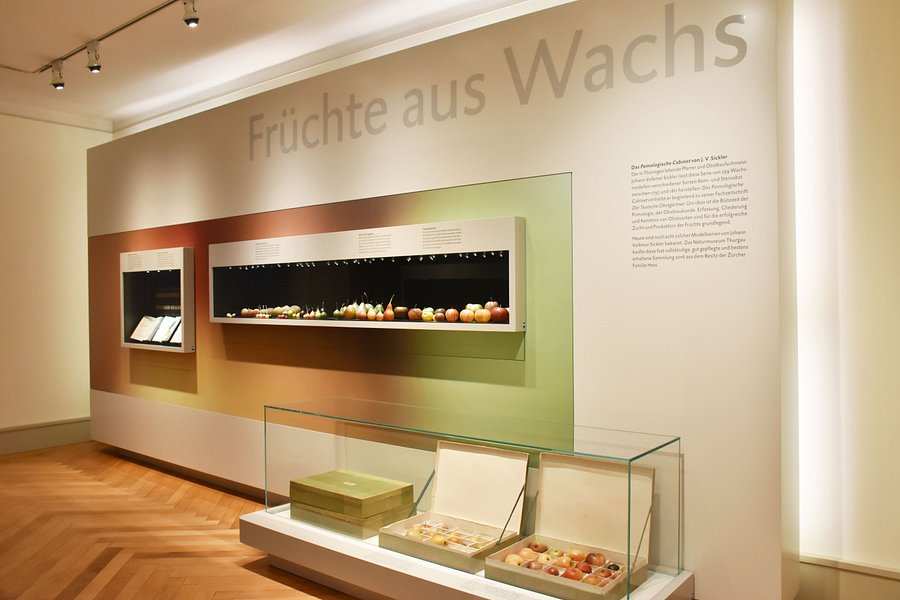 Naturmuseum Thurgau image