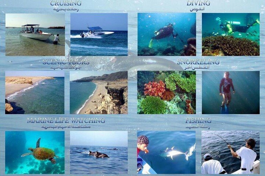 Arabian Sea Adventures image