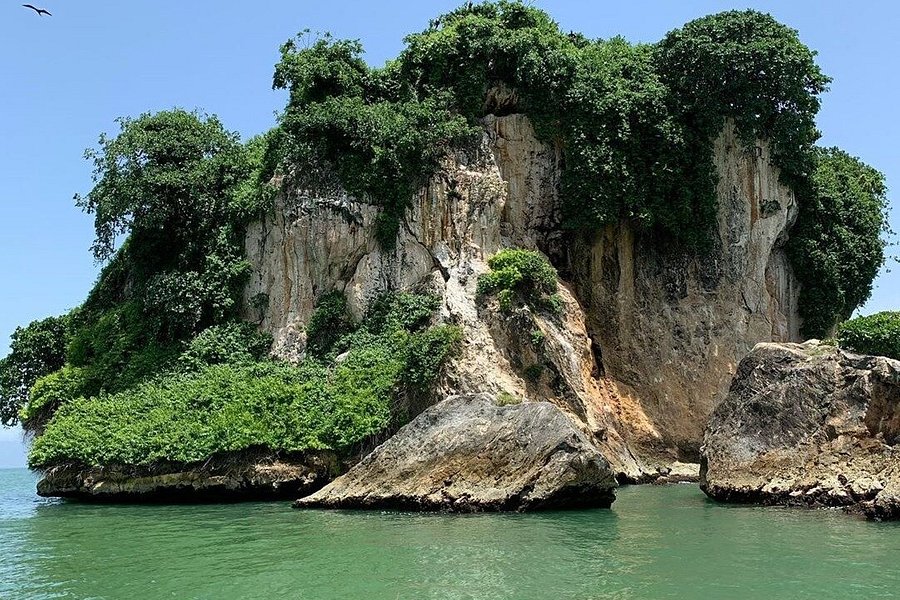 Private Boat Nature Tour of Los Haitises National Park image