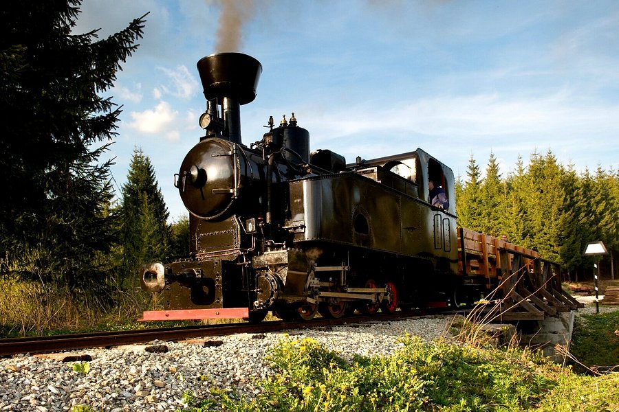 Orava Forest Railway image