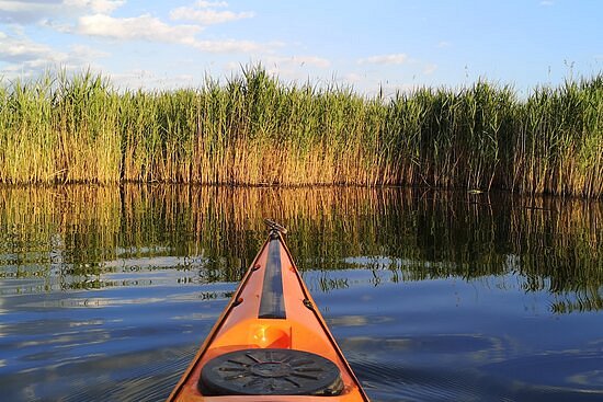 Kayaking tour for beginners Neajov's Delta in Comana image