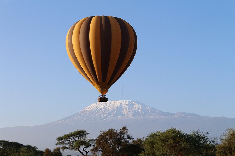 Kilimanjaro Balloon Safaris image