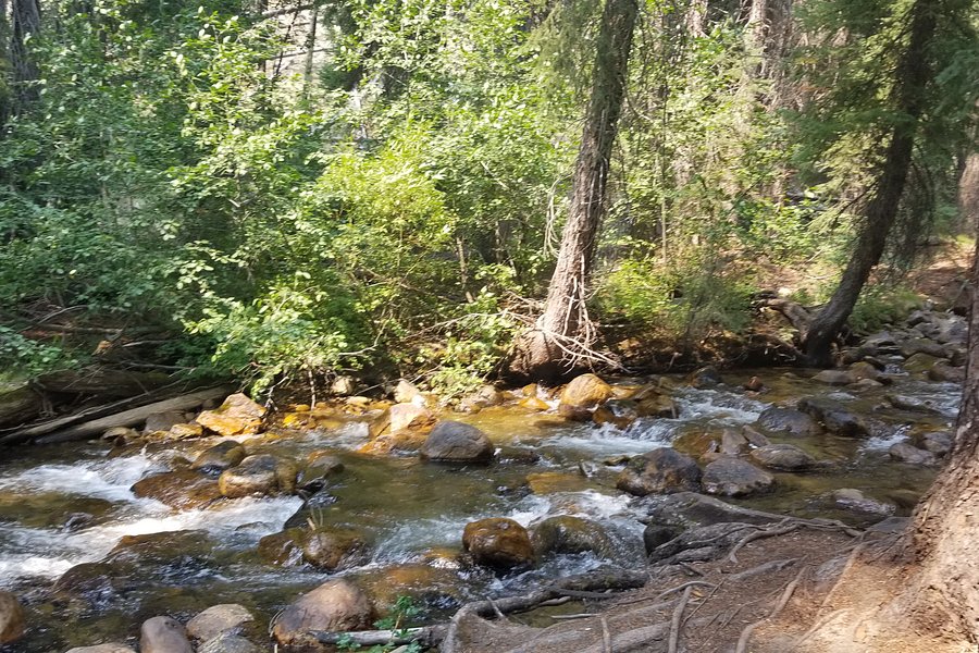 Fishhook Creek Trail image