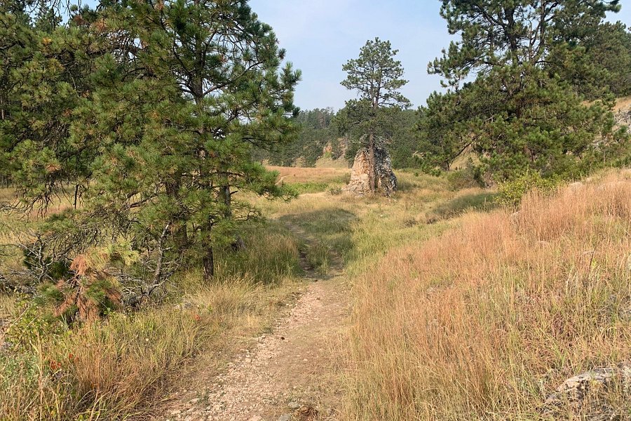 Cold Brook Canyon Trail image