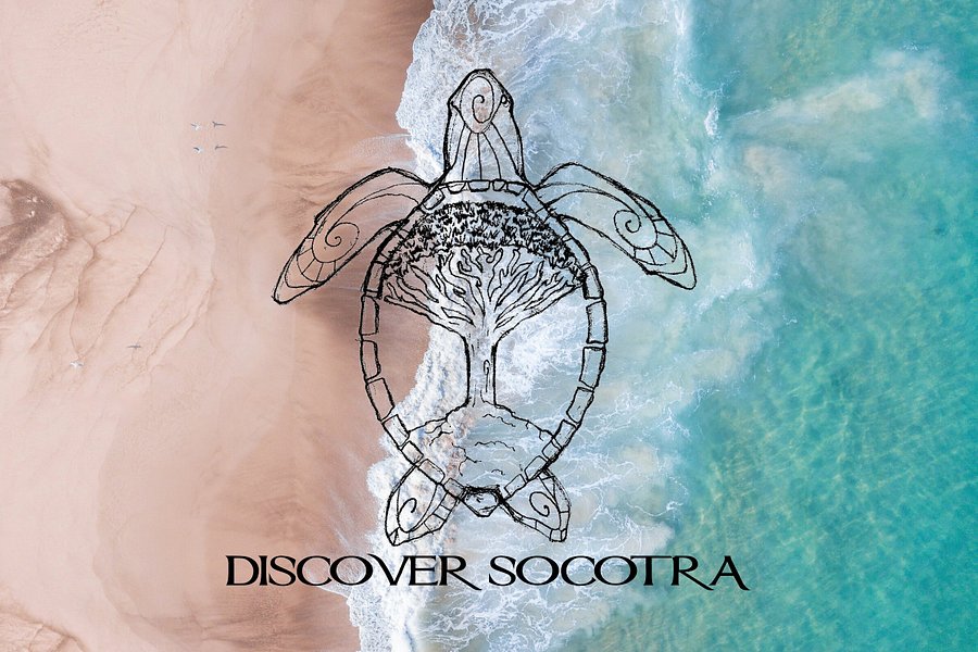 Discover Socotra image