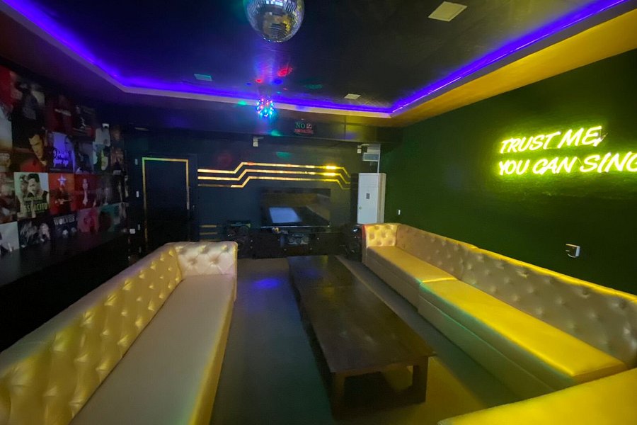 Vip Karaoke Lounge image