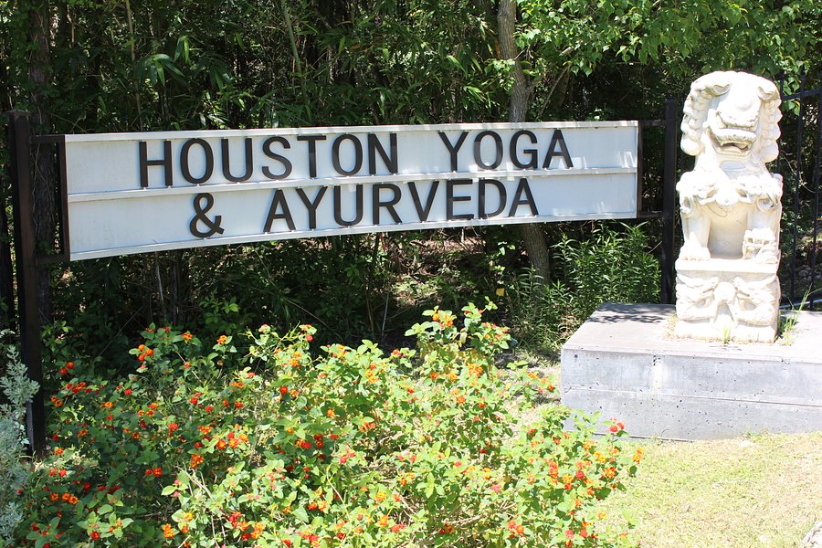 Houston Yoga & Ayurveda Ashram image