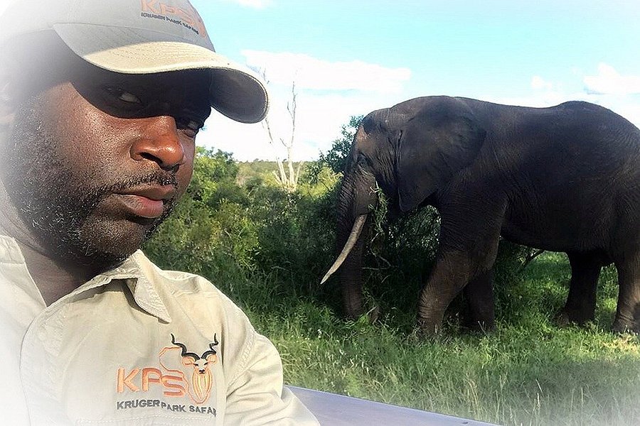 KPS Safaris & Tours image