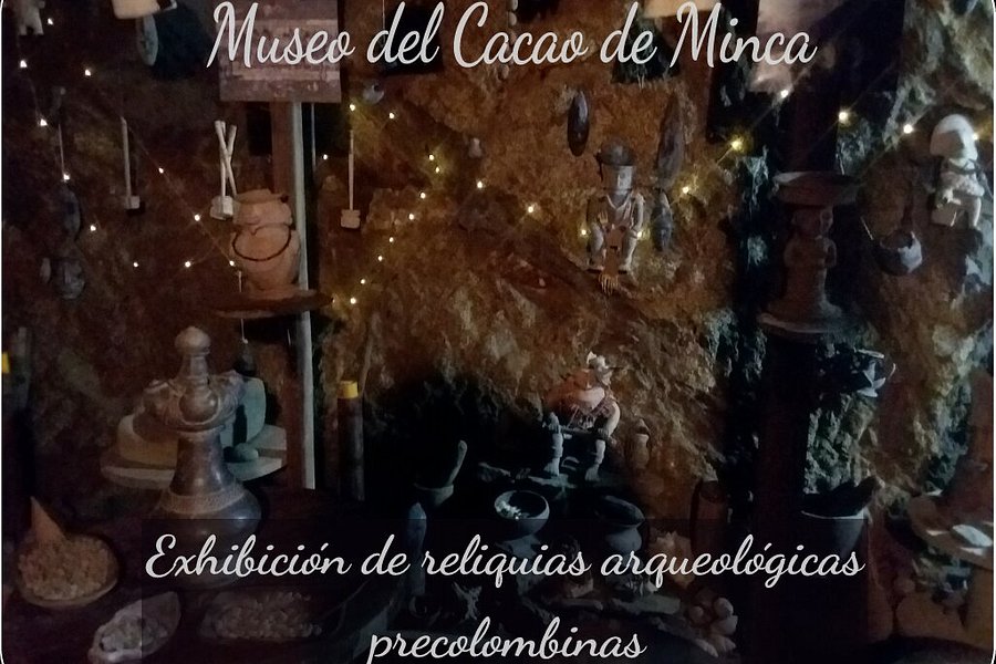 Museo del Cacao de Minca image
