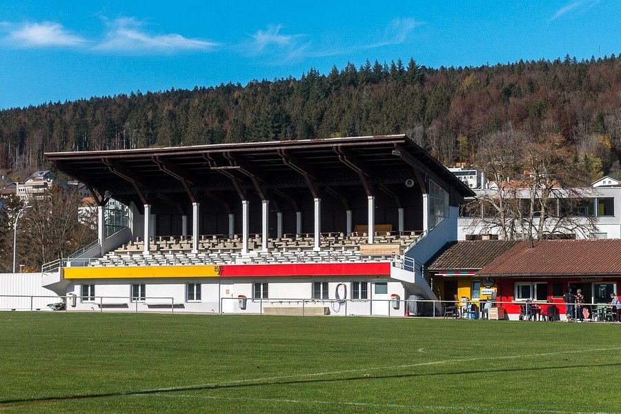 Place Des Sports Allianz Suisse Stadium image