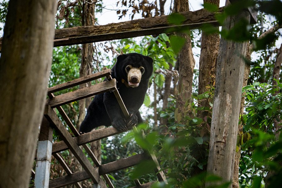 Animal Sanctuary Laos image