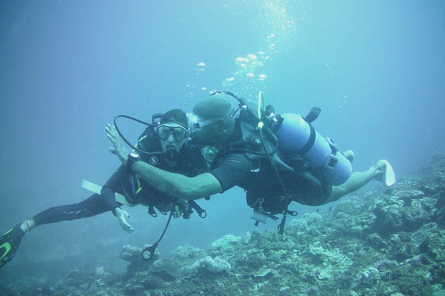 Prestige Explorer Divers image