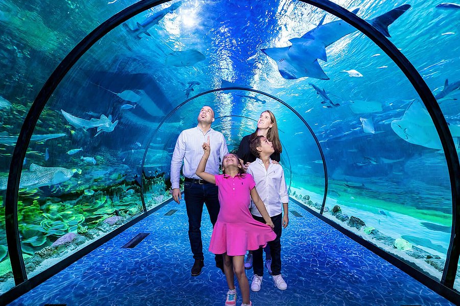 The National Aquarium Abu Dhabi image