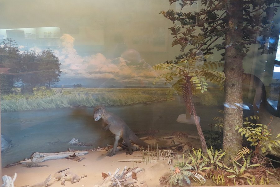 Dinosaur National Monument (Canyon Visitor Center) image