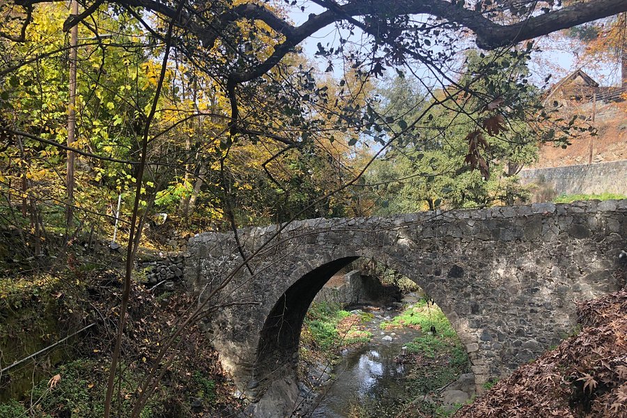 Kalopanagiotis Medieval Bridge image