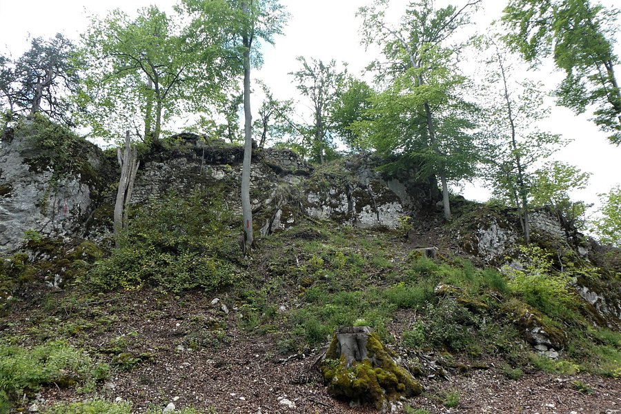 Ruine Frohberg image