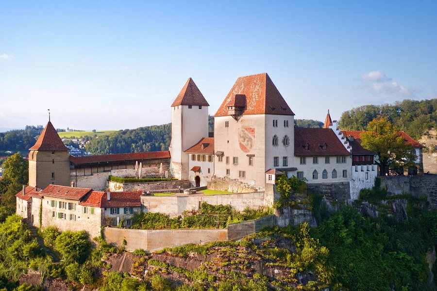 Burgdorf Castle image