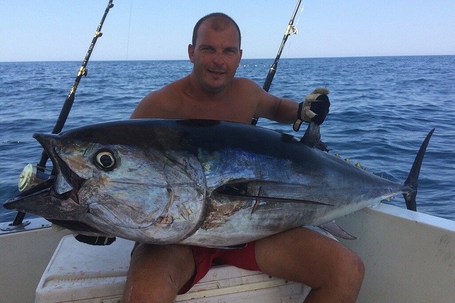 Croatia Tuna Fishing image