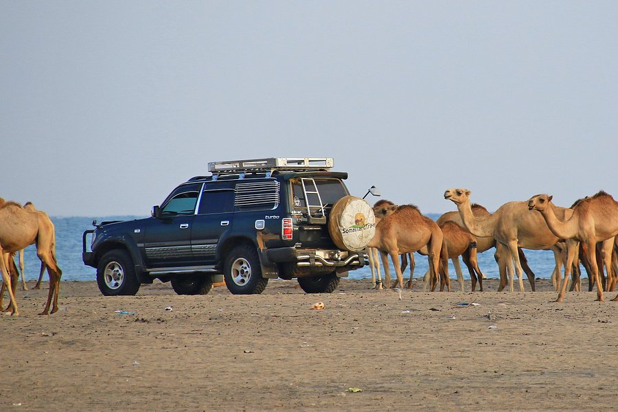 Somaliland Travel Agency image
